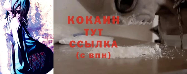 стафф Козельск