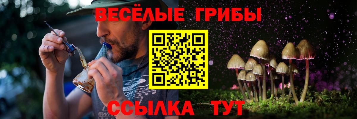 Галлюциногенные грибы GOLDEN TEACHER  Вход с VPN  где найти   Стерлитамак 
