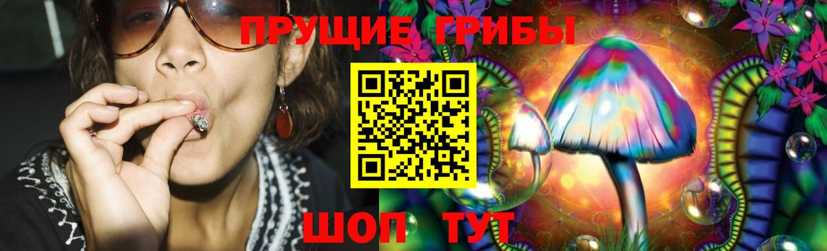 Галлюциногенные грибы Psilocybe Стерлитамак